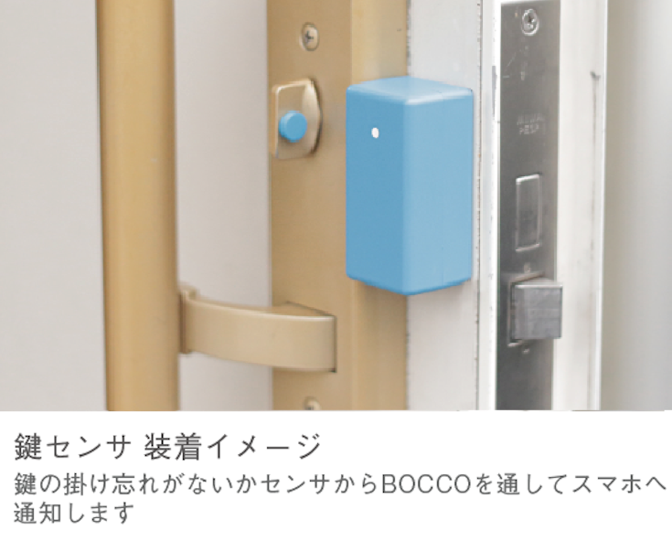 bocco02